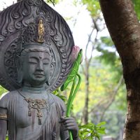 当山のご案内